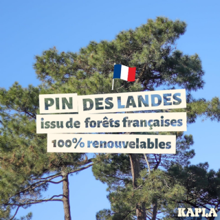 KAPLA Jeu de Construction avec 200 planchettes en Bois, Jouet en Bois, dès 2 Ans