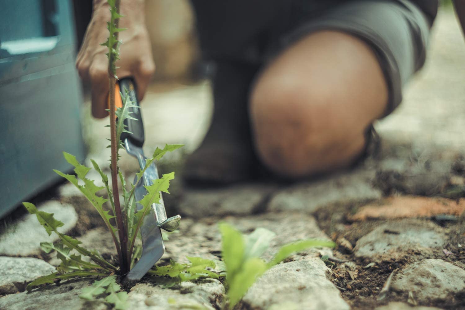 Fiskars Couteau désherbeur pour extirper les mauvaises herbes