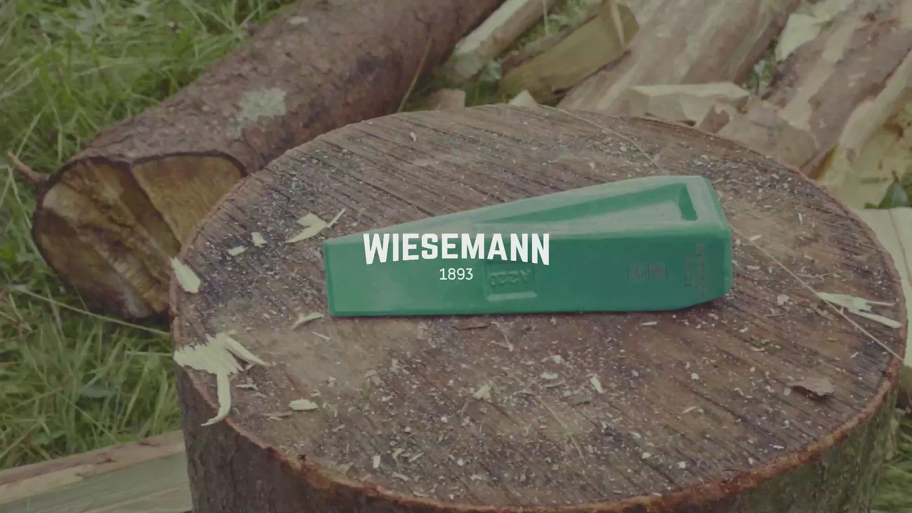 WIESEMANN 1893