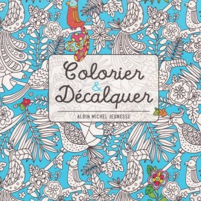 COLORIER ET DECALQUER ART THERAPIE ANTI-STRESS coloriage