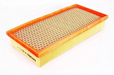 Filtron Filtre à air, ap194/1