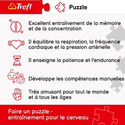 puzzles - 